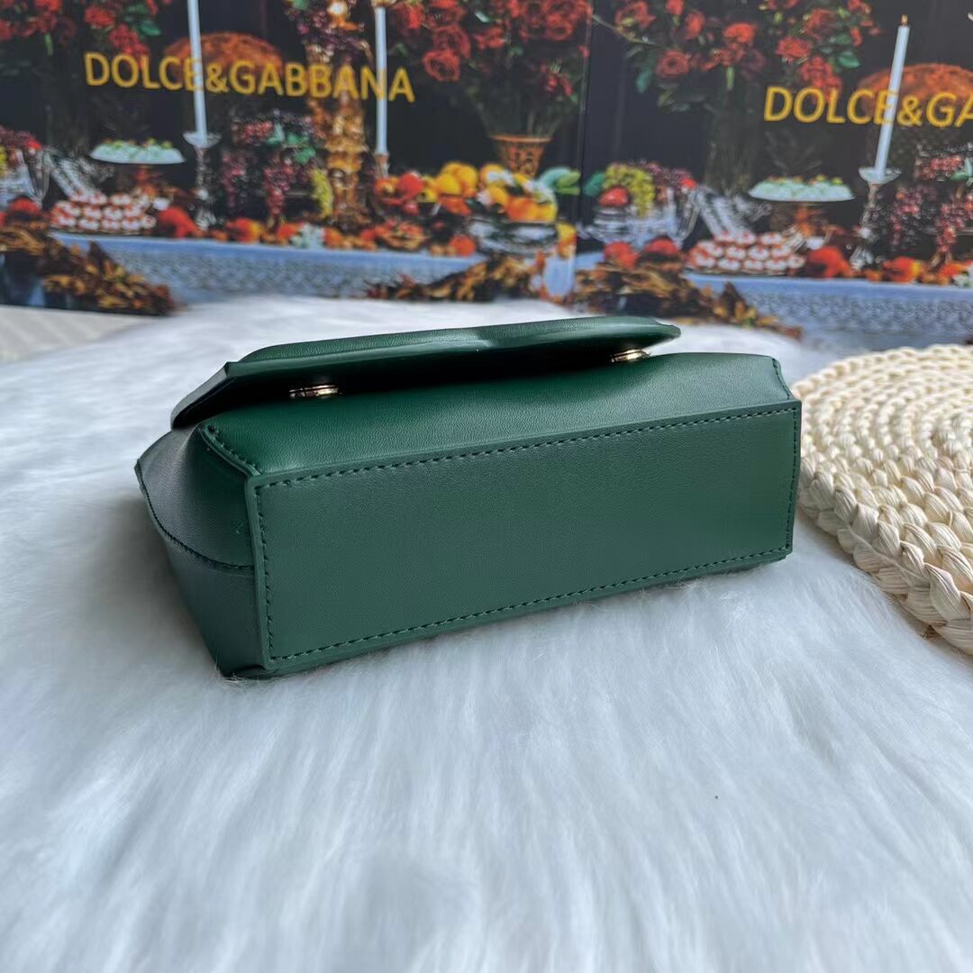 Dolce & Gabbana leather bag G6002 green Dolce & Gabbana leather bag G6002 green