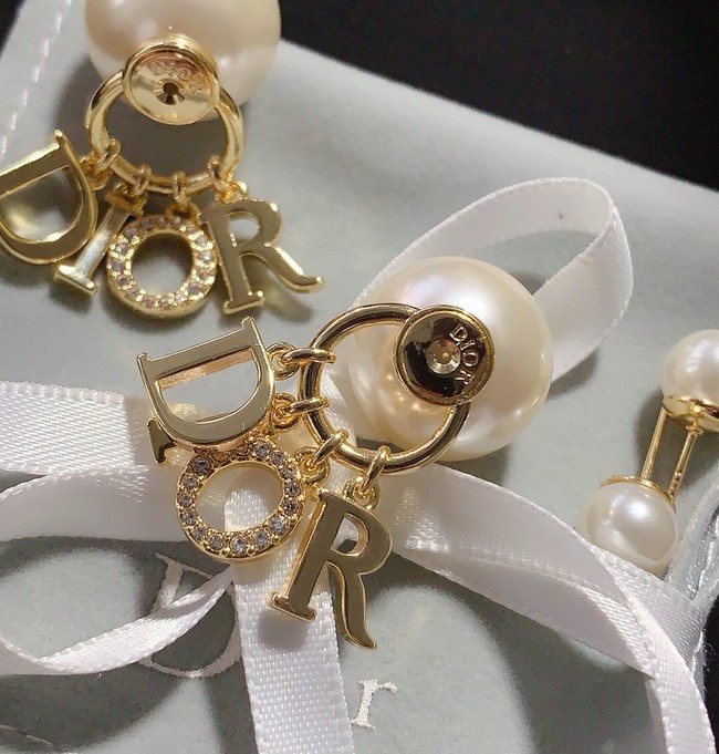 Dior Earring CE16950