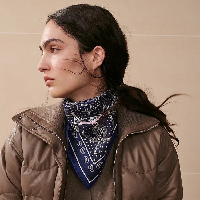Hermes Shawl Cashmere and Silk Jacquard KY101