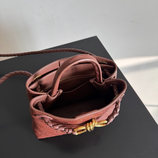 Bottega Veneta Mini Andiamo Sapele 805232 Sapele
