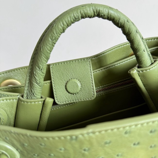 Bottega Veneta Small Andiamo 805231 Mud