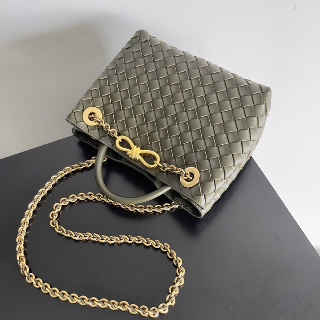 Bottega Veneta Small Andiamo 766014 Pickle